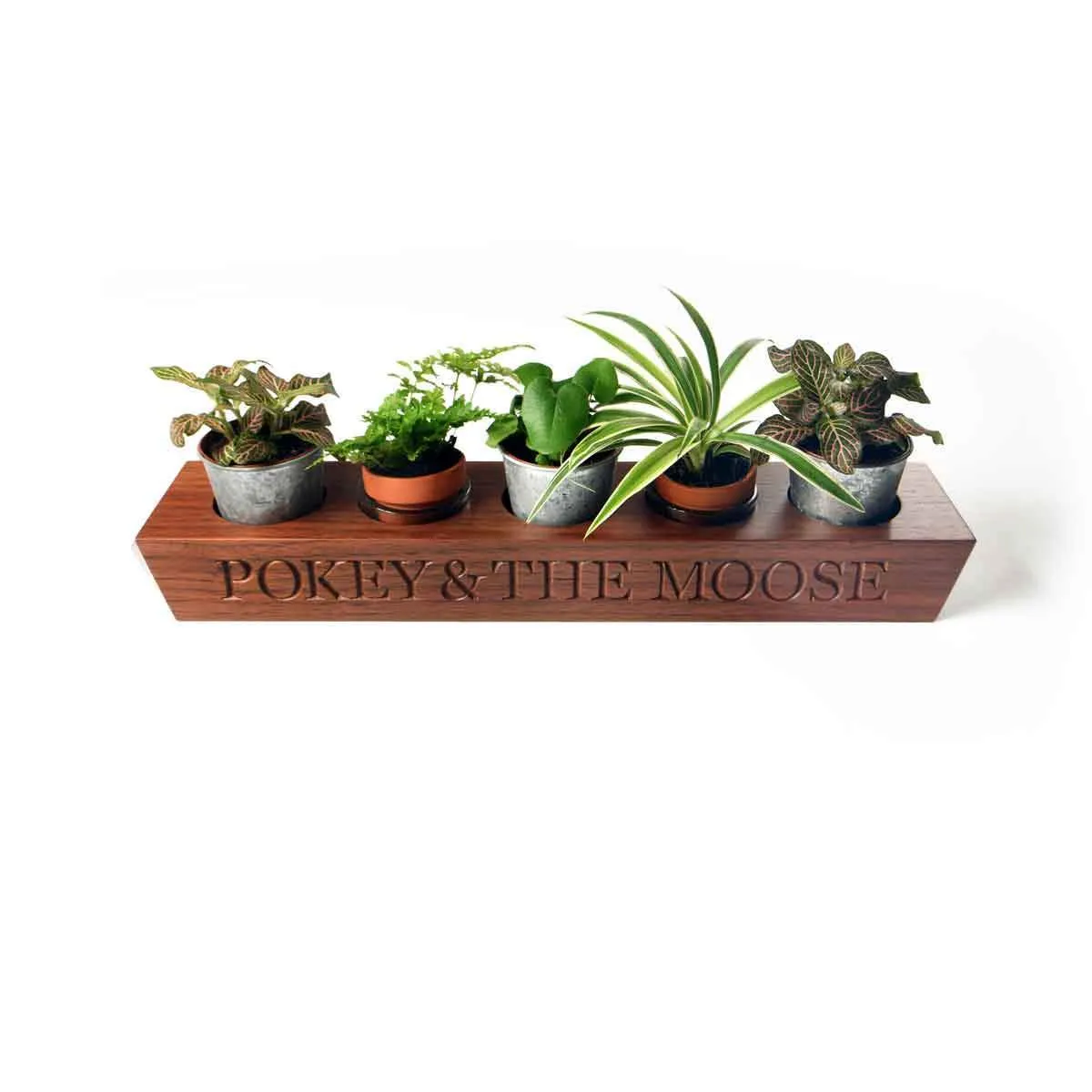 5 Tea Light Holder