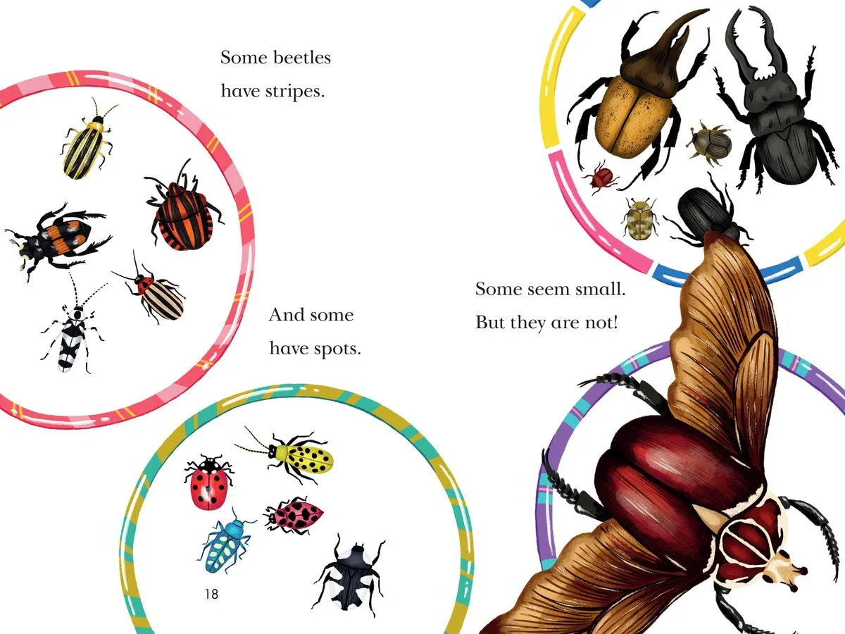 Beetle Mania