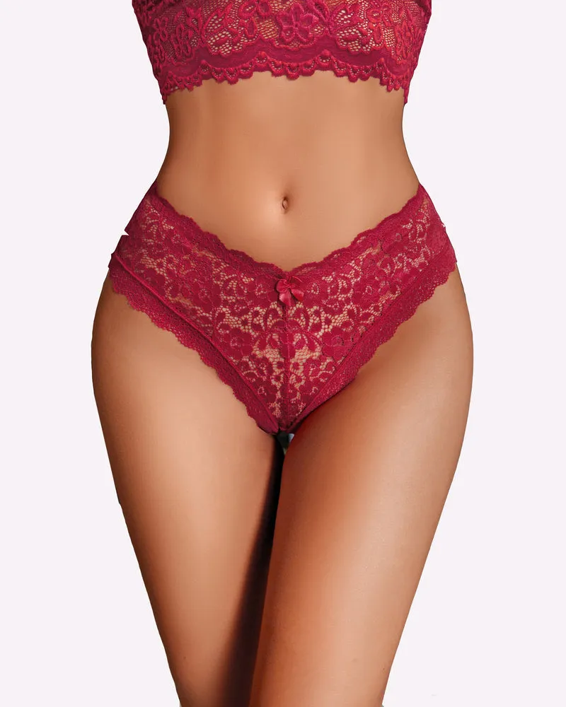Lace Criss Cross Back Floral Hipster Panties