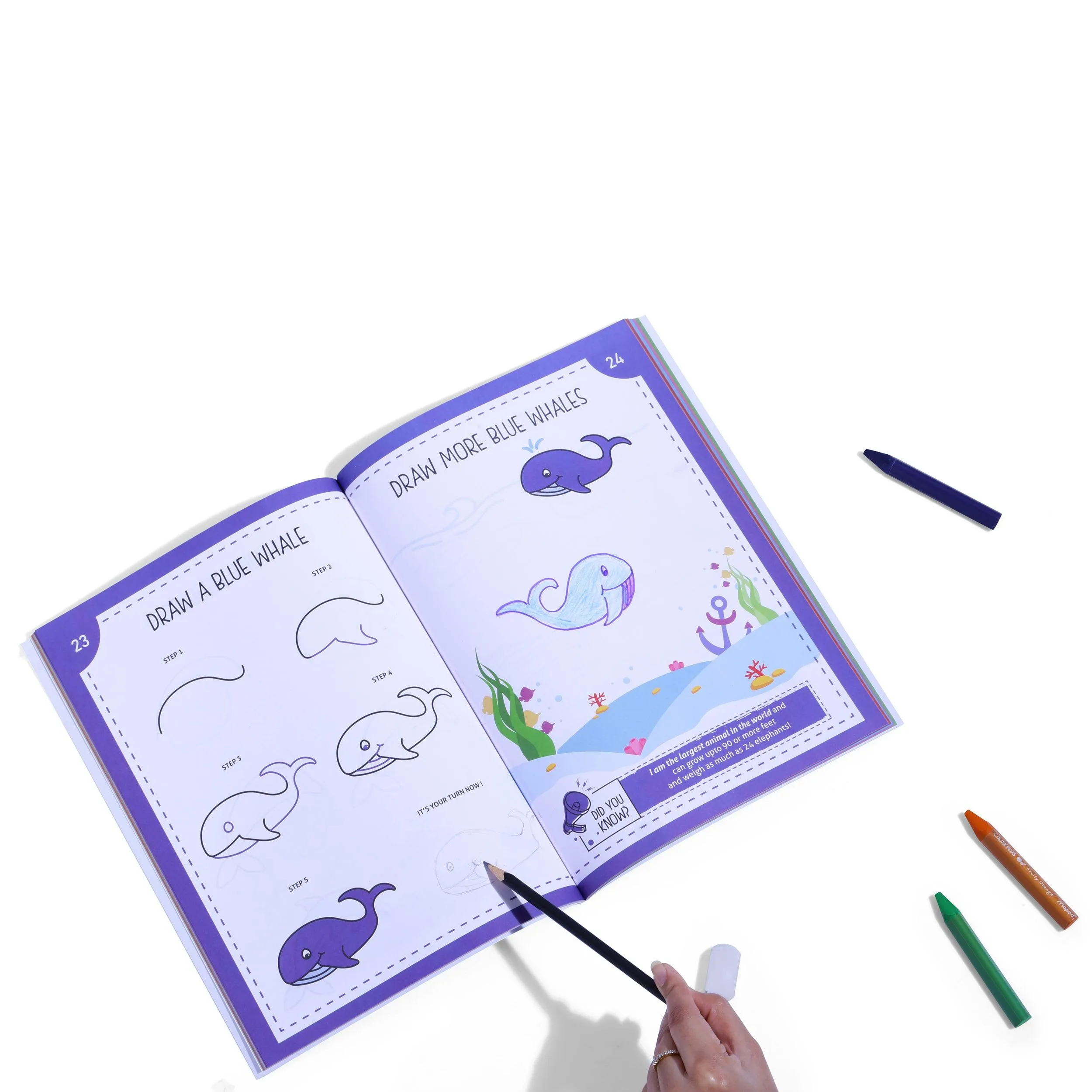 Step-By-Step Drawing Book-Mystical Marine Life