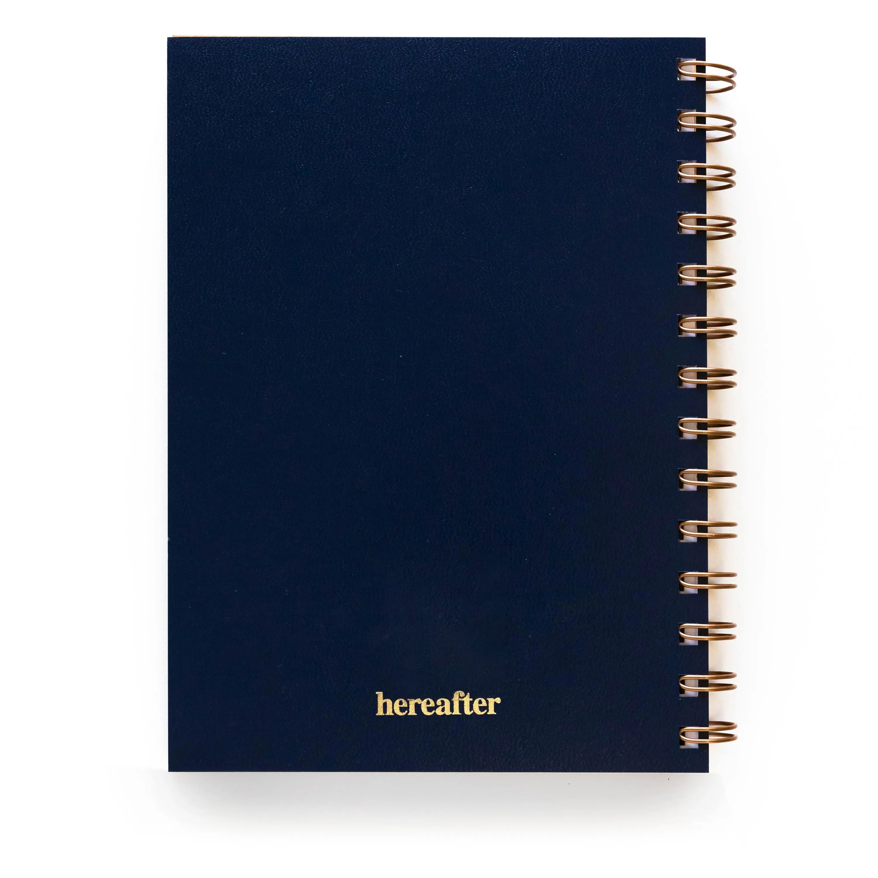 Stingray Journal