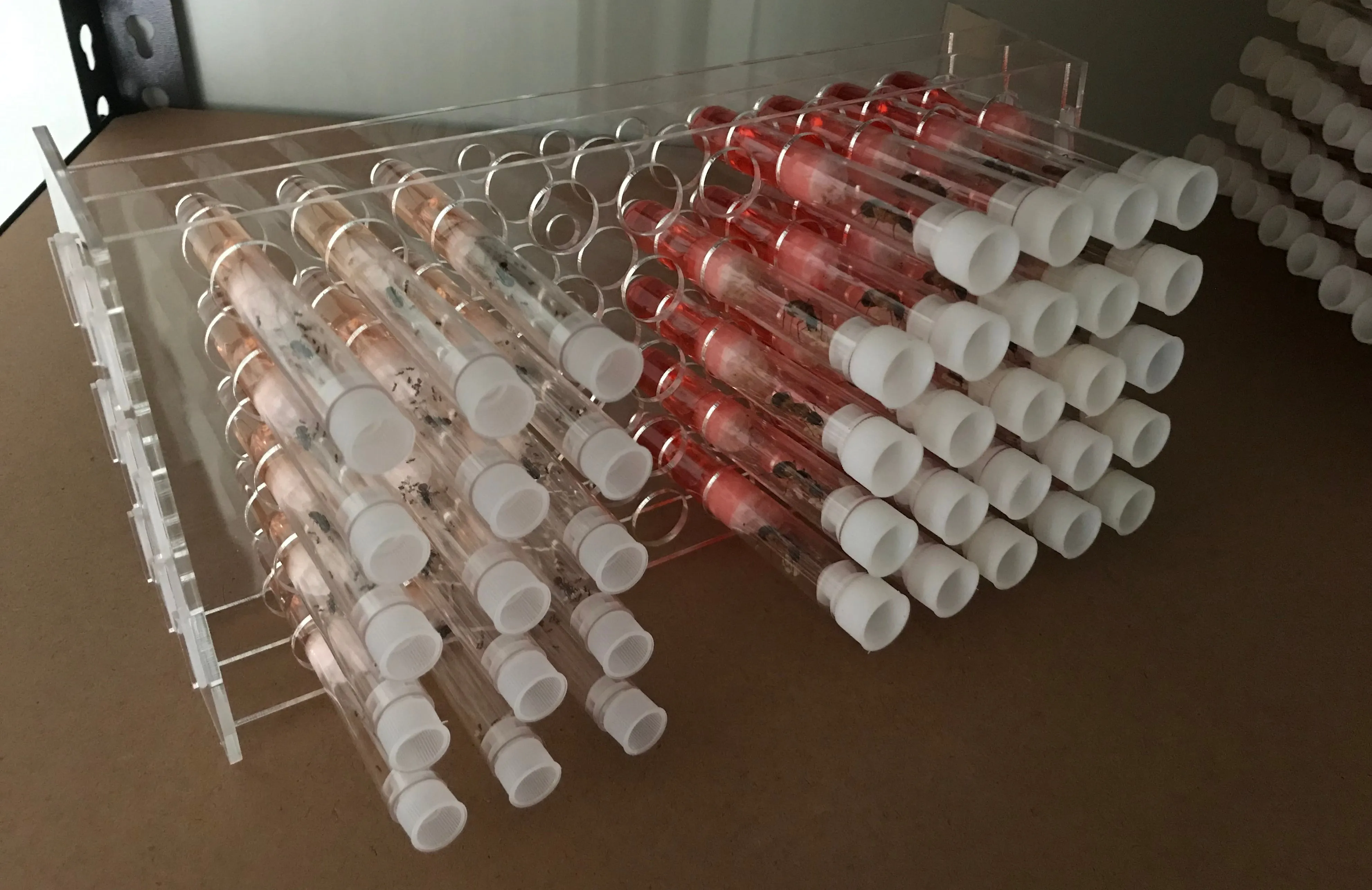 Test Tube Racks DIY